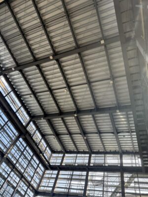 IMG_9894.jpeg