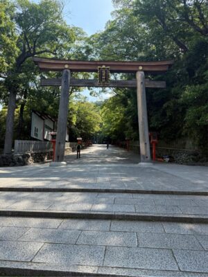 IMG_0946.jpeg