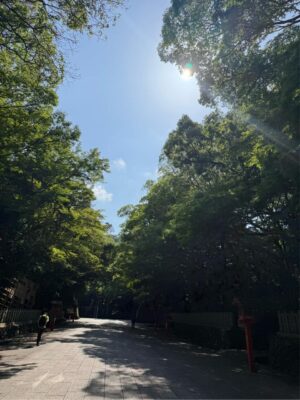 IMG_0948.jpeg